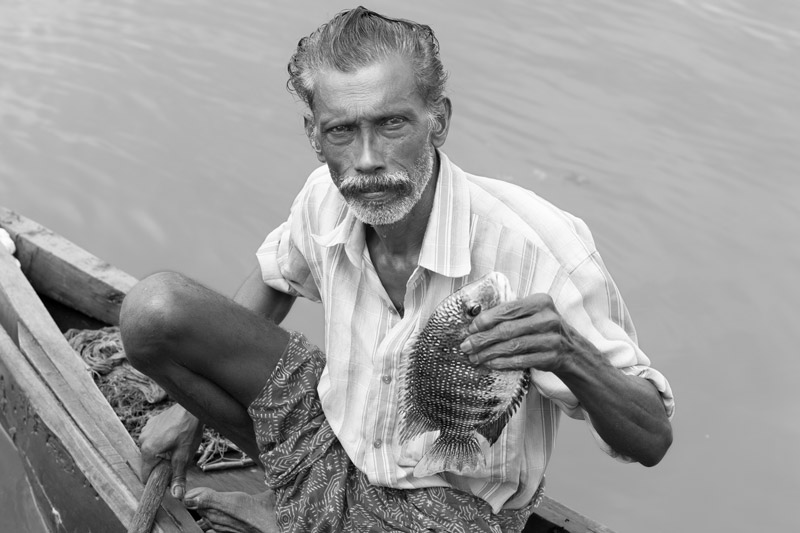Livelihoods below the Sea Level in Kuttanad, Alappuzha district, Kerala - Karimeen (pearl spot fish) caught in Vambanad Lake